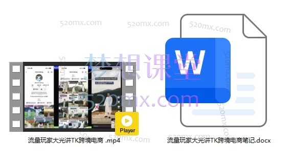 2025大光流量玩家TK跨境全流程变现课+2025大光内部资料包
