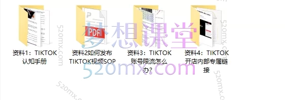 2025大光流量玩家TK跨境全流程变现课+2025大光内部资料包