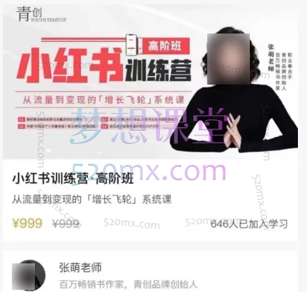 张萌小红书训练营高阶班:打造高盈利小红书商业系统
