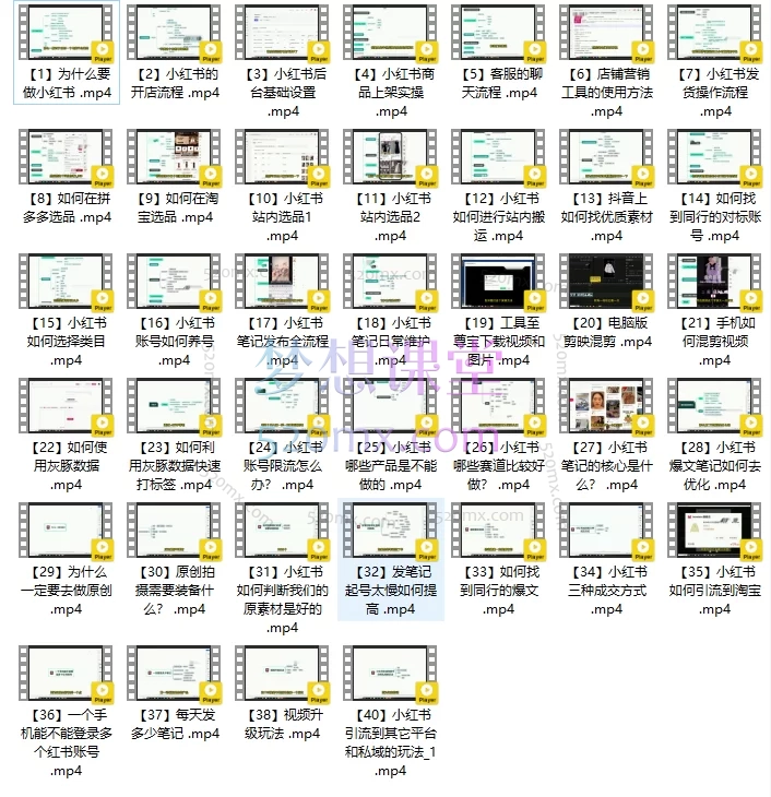 肉肉红书的第一个专栏:零基础玩转小红书电商从开店、选品到爆文变现的全链路实操课