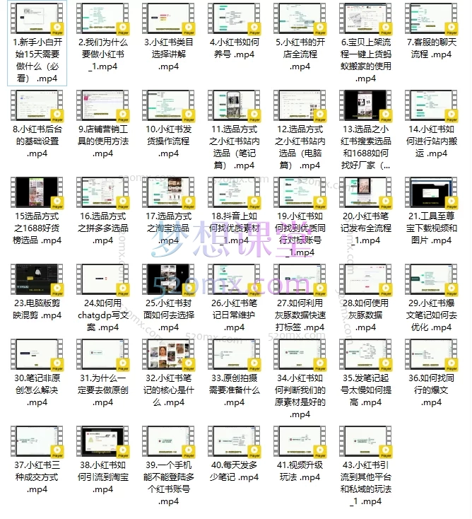 向阳小红书运营课:从0到1精通开店、选品、爆文与引流