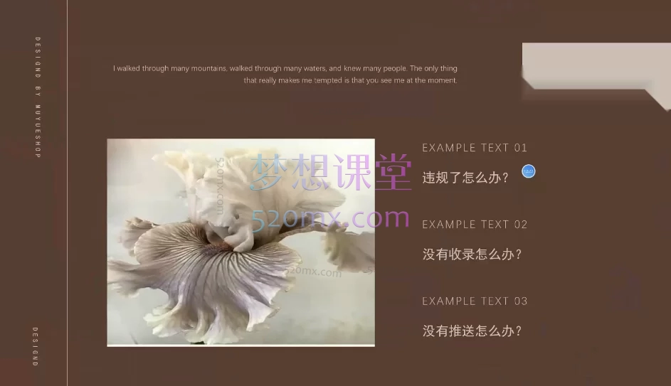 星屿学苑·小红书进阶培训