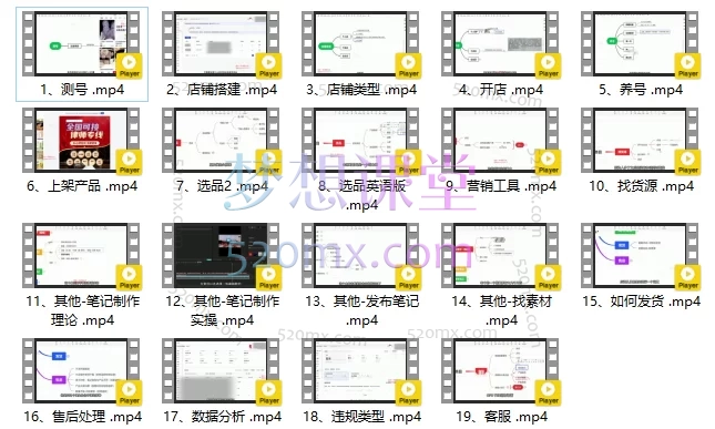 红商联盟言校长-小红书带货实操高阶训练营:手把手教你玩转内容带货,开启高盈利店铺