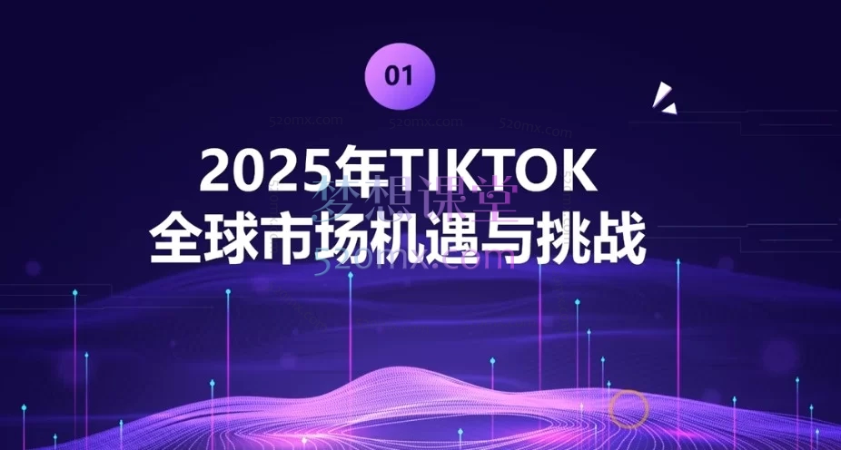2025 TikTok跨境电商从零实战课:开店运营+爆款打造+全域变现指南