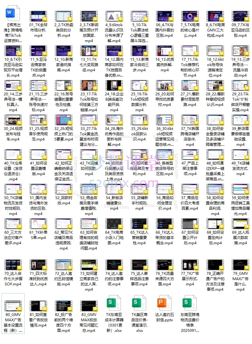 2025 TikTok跨境电商从零实战课:开店运营+爆款打造+全域变现指南