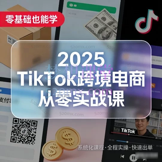 2025 TikTok跨境电商从零实战课:开店运营+爆款打造+全域变现指南