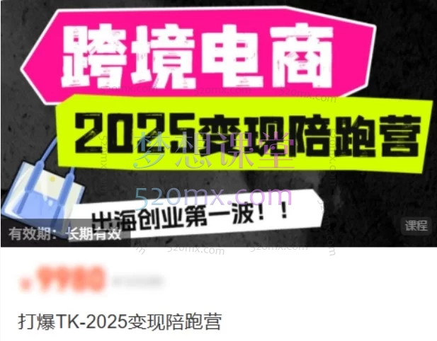 职场B计划阿耀-打爆TiktoK-2025变现陪跑营：零基础打爆东南亚市场，从开店到盈利系统实操指南