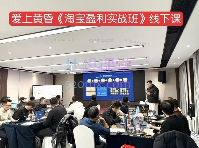  2026爱上黄昏淘宝盈利实战班杭州线下课
