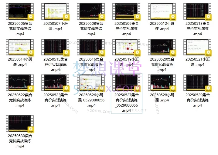 刘琦《龙头推背图03期》小班课合集：集合竞价实战与龙头战法深度训练