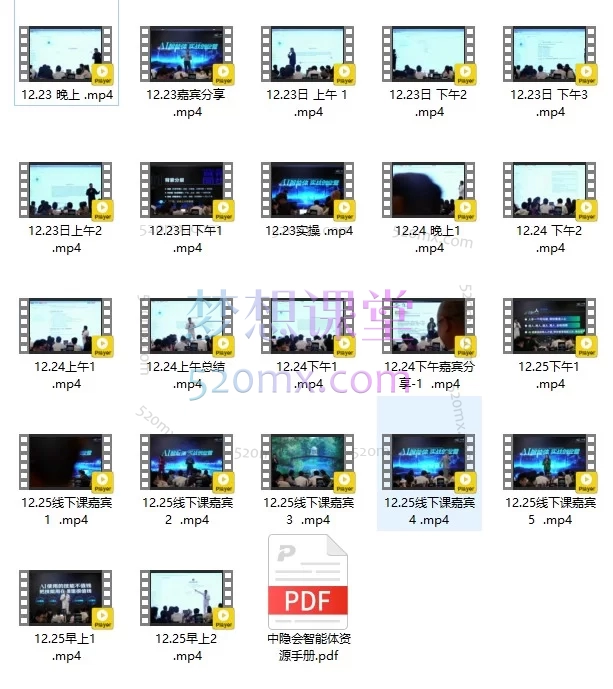 2025-2026陈厂长AI智能体实战创业营：三天实战打造智能自动化运营体系(26年1月20-22号)(2025年11月25-27号)+(12月23-25号)