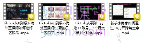 2026TikTok从0到1(3天直播课):市场选择、爆品策略与运营全解析