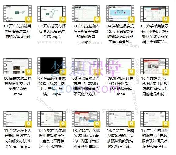 梦凡老师·Shopee虾皮高阶运营课程—— 系统化掌握平台运营与广告策略，助力店铺持续增长