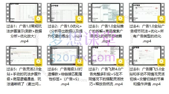 梦凡老师·Shopee虾皮高阶运营课程—— 系统化掌握平台运营与广告策略,助力店铺持续增长