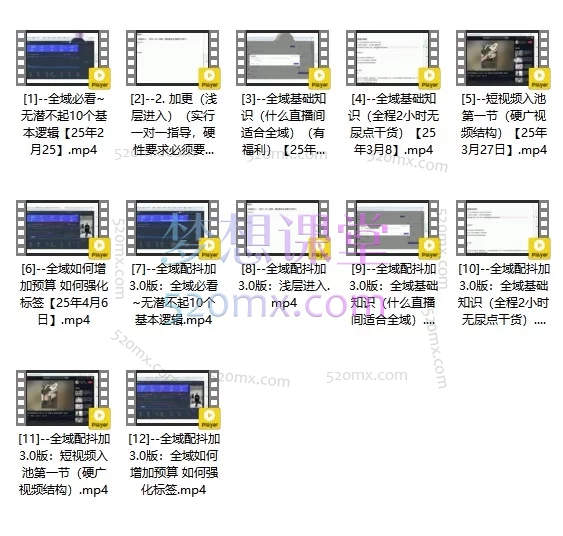  蚂蚁店主-蚂蚁无潜不起全域配抖加3.0入池课
