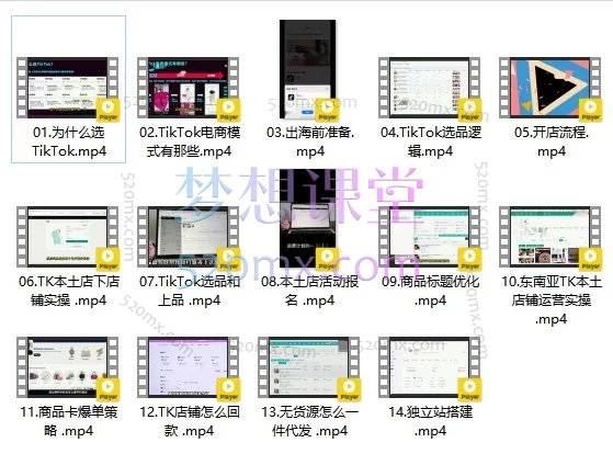 TikTok出海电商实操课:手把手带你从0到1开启跨境电商新赛道