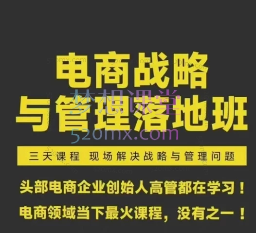 2026蒋晖电商战略与管理落地班(不是视频课,是文档课)