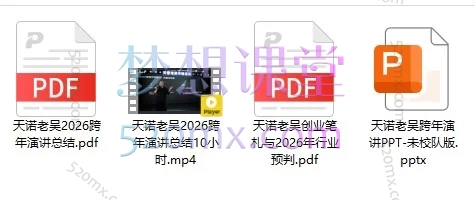 天诺老吴-2026除夕夜专场电商小春晚盈利跨境突围