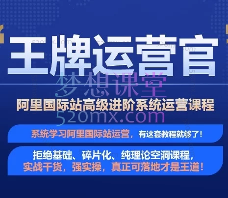 大钟老师阿里巴巴国际站高级进阶系统运营培训精品课程