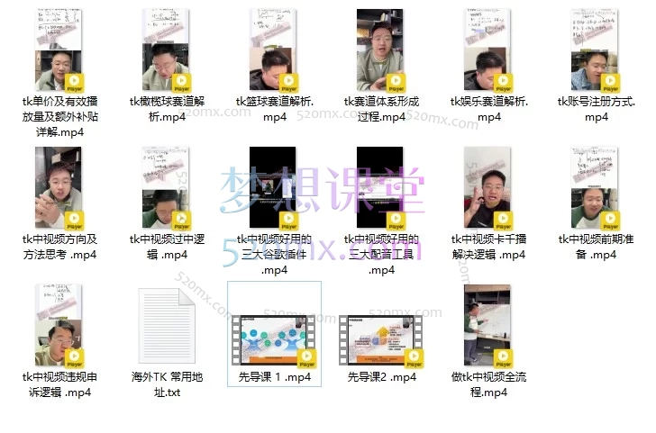 某大佬的TK中视频实战掘金课,涵盖TK各个赛道玩法教学