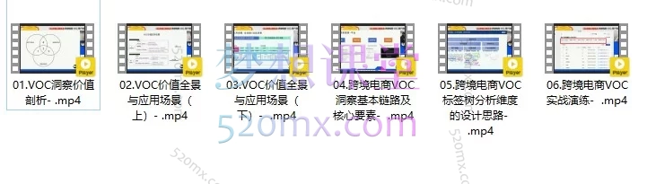 VOC洞察实战指南:解锁用户真实声音,驱动跨境电商精准增长