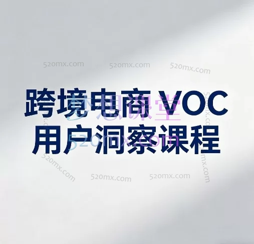 VOC洞察实战指南:解锁用户真实声音,驱动跨境电商精准增长