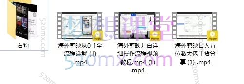 Tiktok剪映+右豹APP实操变现课：短剧推文变现全教程来了！