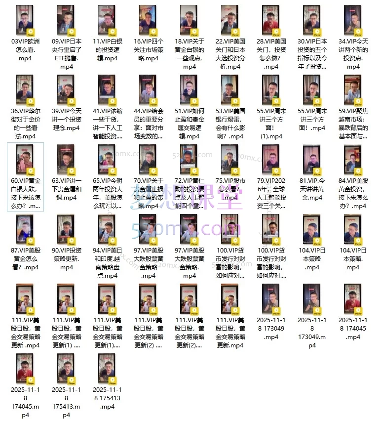 【许戈财富谈】VIP全球投资内参：2025-2026关键市场的逻辑、策略与实战