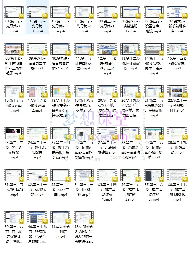 Ozon大师兄跨境电商实战：从跟卖到精铺的全链路运营