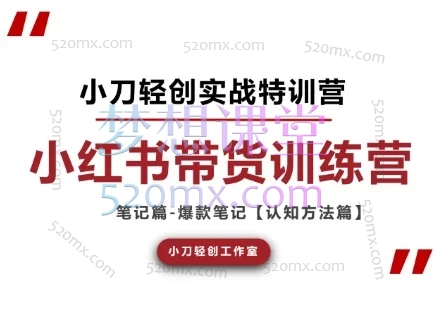 2026小刀轻创小红书电商技能提升系统课