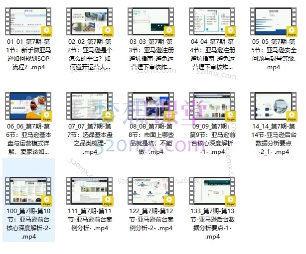 亚马逊第七期孵化陪跑营:0基础新手全流程运营实战课