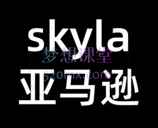 Skyla亚马逊全流程实战课（2026版）：从0到1打造盈利店铺，覆盖选品、广告、爆款、合规运营