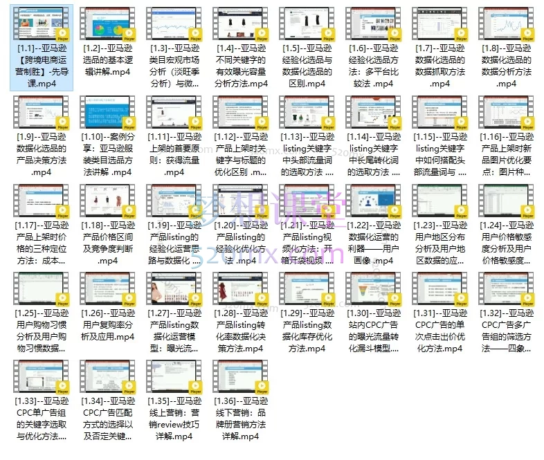 亚马逊跨境电商全链路实战课：从0到1精通选品、运营与CPC广告