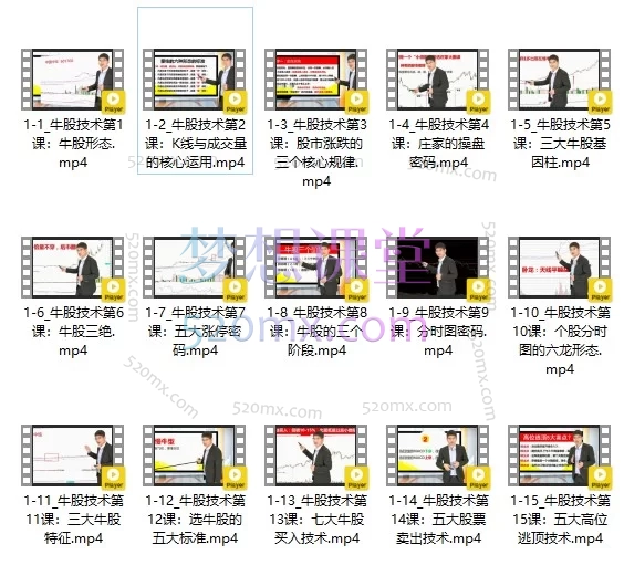 黄一鸣《牛股技术》实战培训：从选股到逃顶的分时图与K线战法