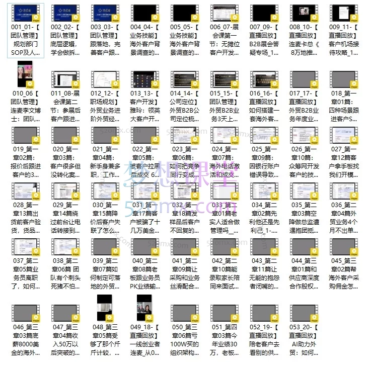 外贸B2B实战全阶课：团队管理+SOP搭建+展会客户开发+AI增效
