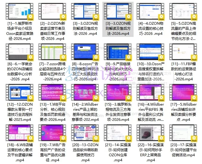2026千鸟跨境OZON&amp;Wildberries训练营：俄区电商从0到1全链路陪跑实战课