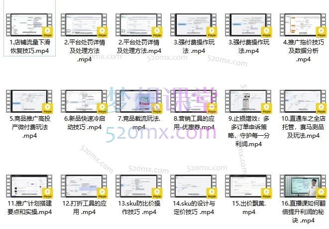【2026版】华生拼多多掘金私教班全套视频课程（含流量恢复+防比价+直通车）