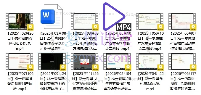 2026泓一老师·拼多多直线起店+强付费3.0/微付费/双切车/大促实操教学
