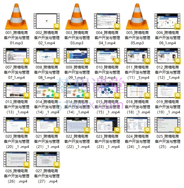 跨境电商海外客户开发实战课：从0到1掌握B2B/B2C运营逻辑