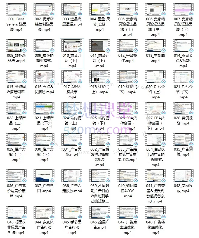 亚马逊全流程体系课:从0到1精通选品、运营与广告推广