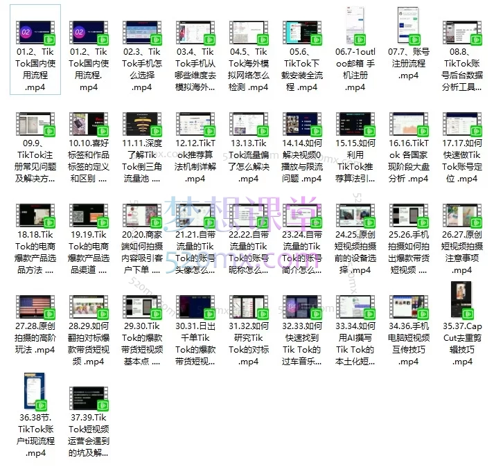TikTok带货实战营|0基础保姆级教程,吃透美区流量红利!