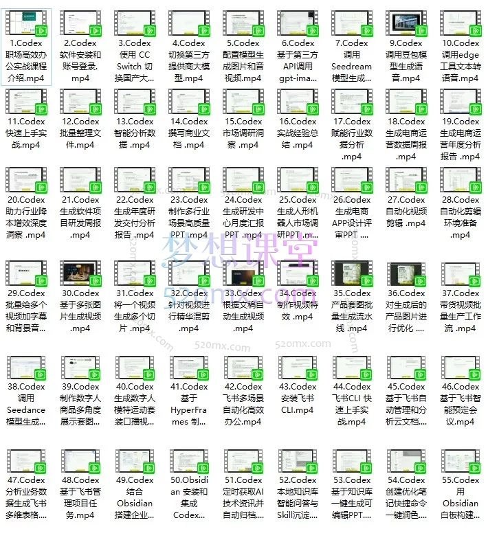 Codex 职场高效办公实战：从环境配置到办公自动化的 55 节系统课