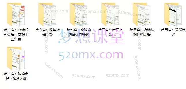 TikTok东南亚跨境店完整实操课：从店铺入驻到回款全流程运营