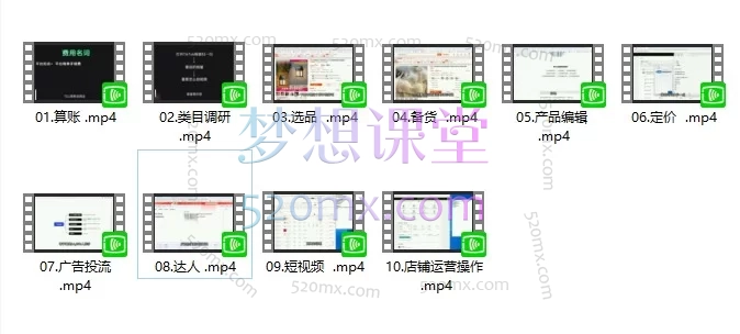 2026 TikTok Shop 东南亚进阶课