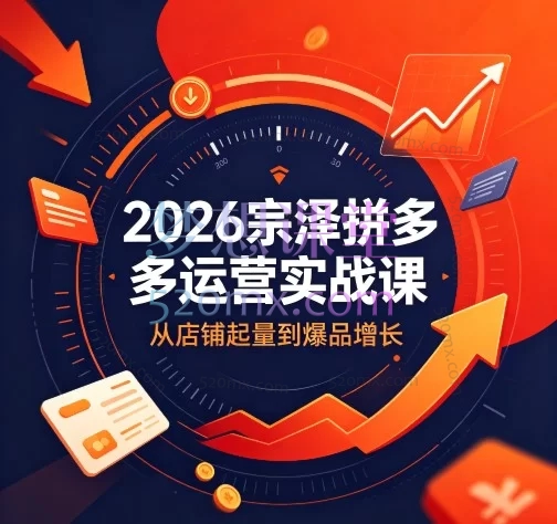 2026宗泽拼多多运营实战课:起链接数据观测·流量池赛道·匹配探索与盈利归拢全解析