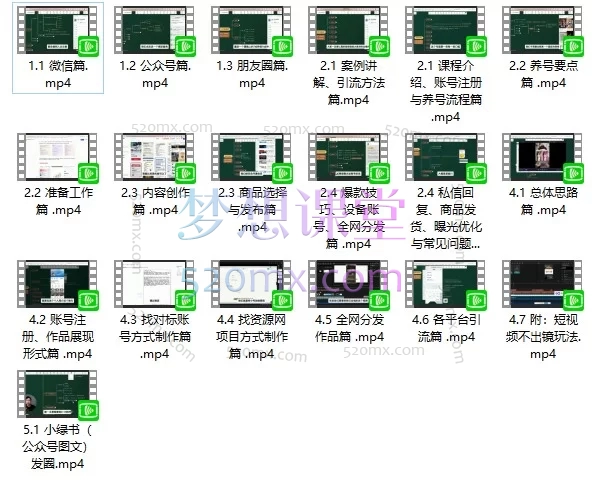 零一学苑·IP合伙人计划实战训练营:从0到1打造可变现个人IP(微信私域 + 短视频 + 小绿书全流程实操课)