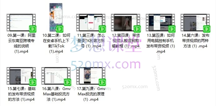 TikTok东南亚跨境店从0到出单实战课 | 新手卖家必修系统教程