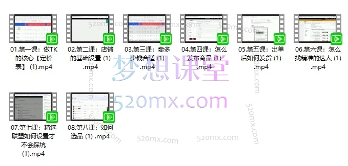 TikTok东南亚跨境店从0到出单实战课 | 新手卖家必修系统教程