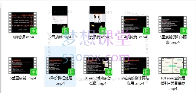 《Temu纯新手0-1全流程实战课》从启动、开店到发品、核价、活动报价的完整运营链路。