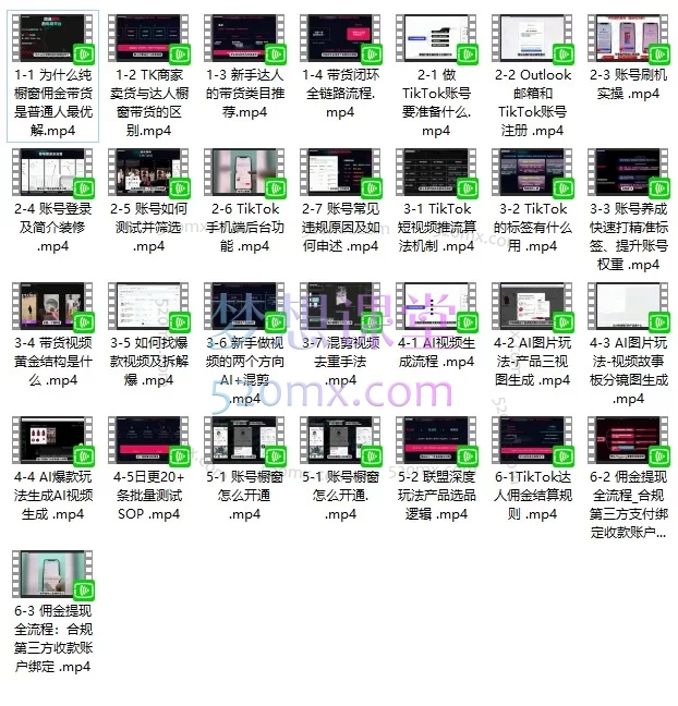TikTok AI短视频橱窗带货实战课-国培中心&amp;绿洲跨境