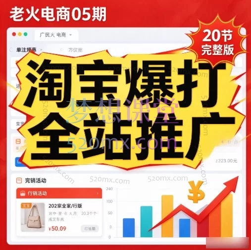 老火电商05期：淘宝爆打全站推广（20节完整版）